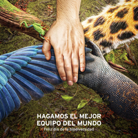 Advertisement for the Biodiversity Museum