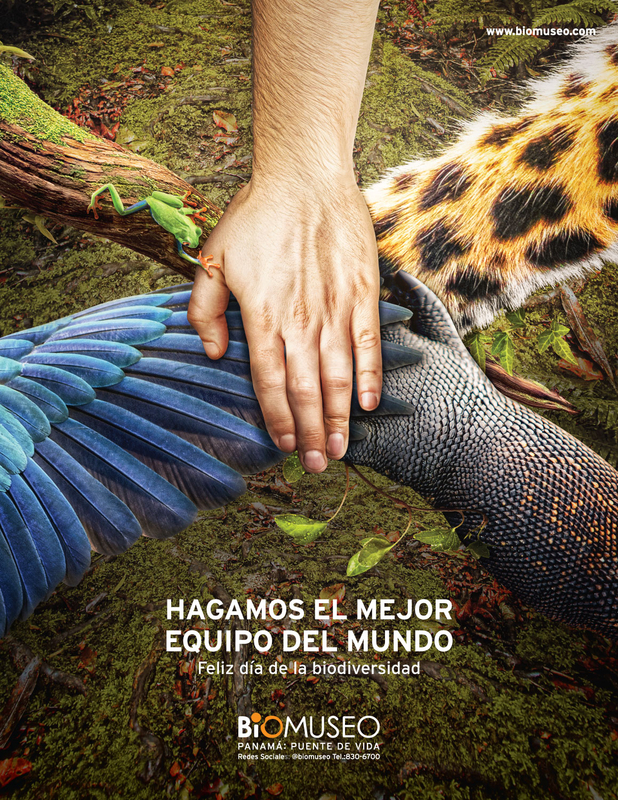 Advertisement for the Biodiversity Museum