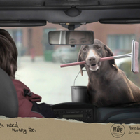 Social Advertising - Ammals need money too.