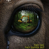 Social Advertising - They see. They suffer. But they can't speak.