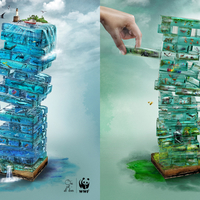 Social Advertising WWF
