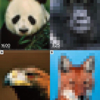 Social Advertising - WWF