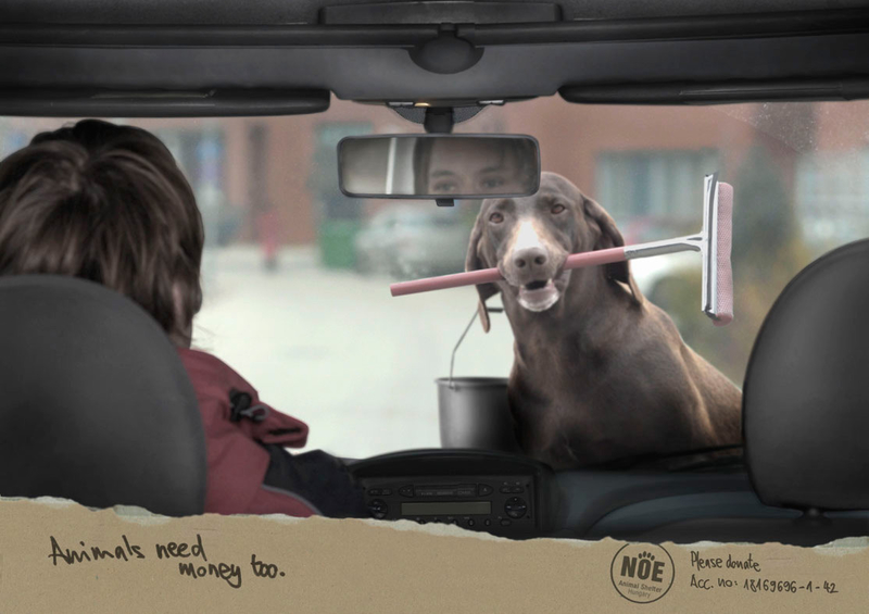 Social Advertising - Ammals need money too.
