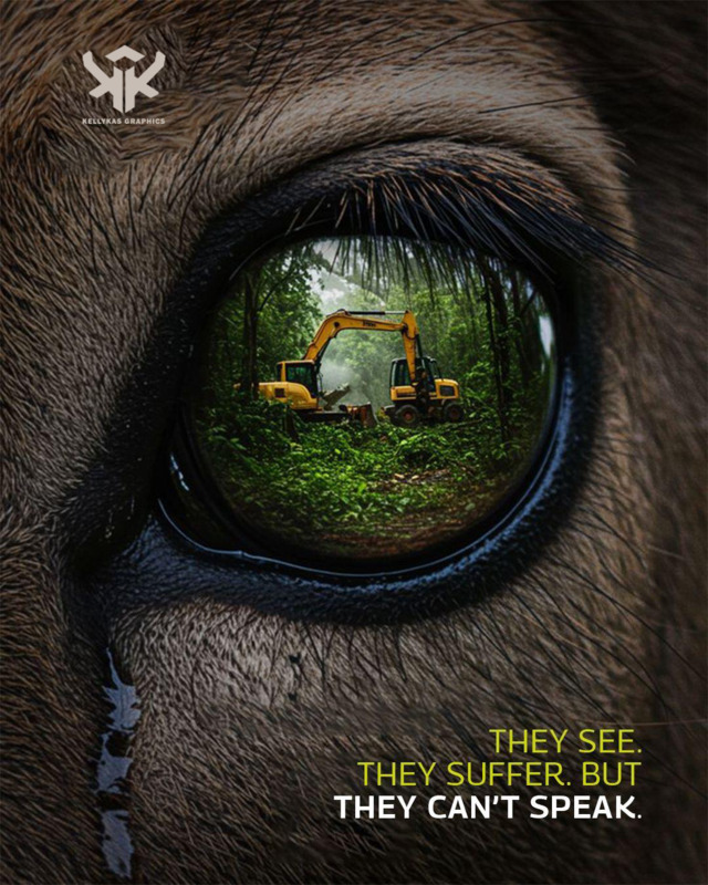 Social Advertising - They see. They suffer. But they can't speak.