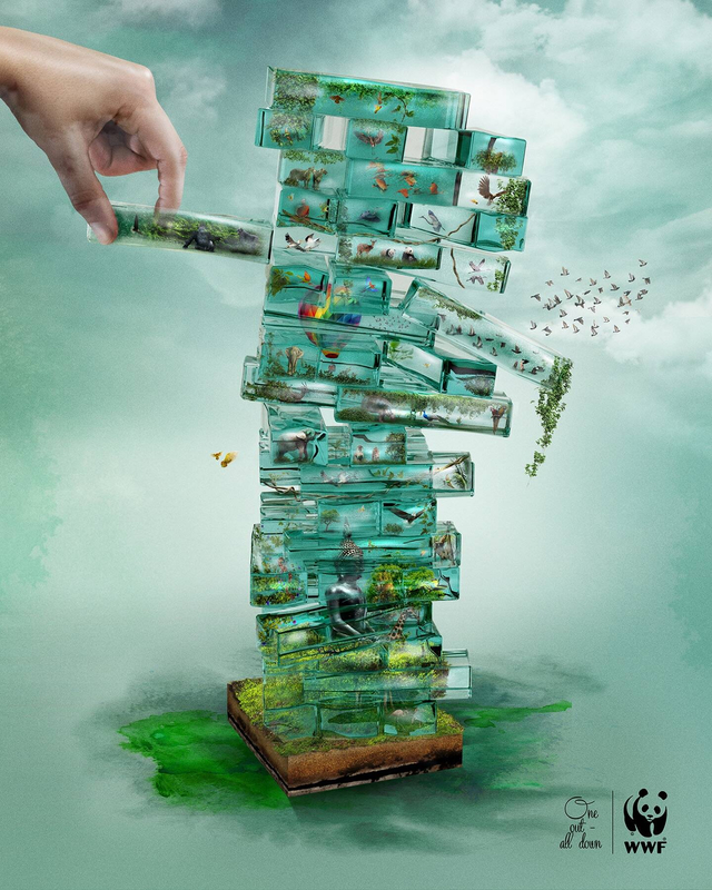 Social Advertising WWF
