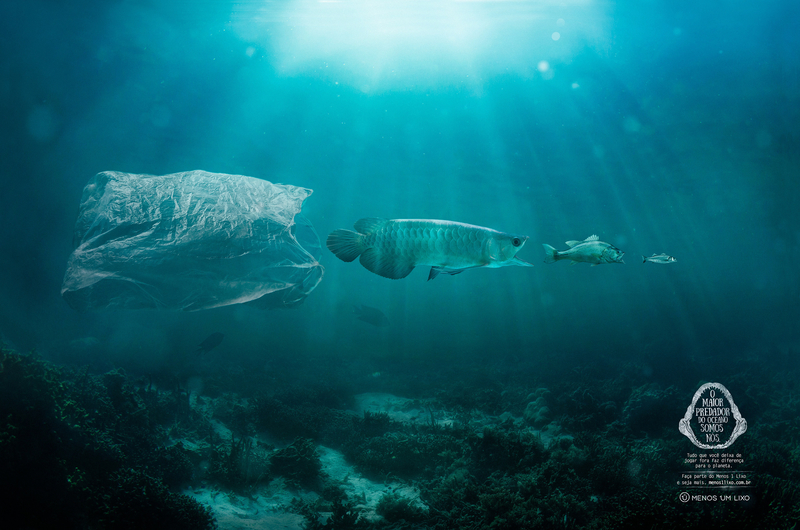 Social Advertising - We are oceans biggest predator.
