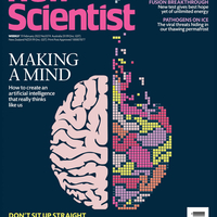 Обложка журнала New Scientist