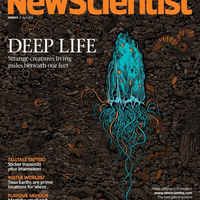 Обложка журнала New Scientist