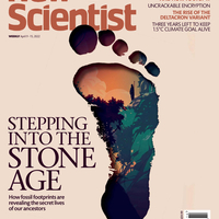 Обложка журнала New Scientist