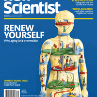 Обложка журнала New Scientist