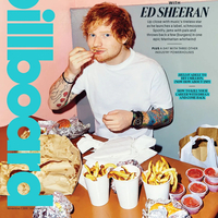 Модель: Ed Sheeran