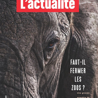 Обложка журнала L'actualité