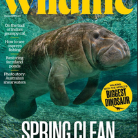 Обложка журнала BBC Wildlife