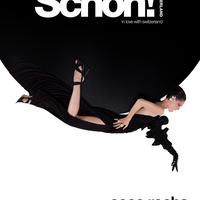 Обложка журнала Schön!