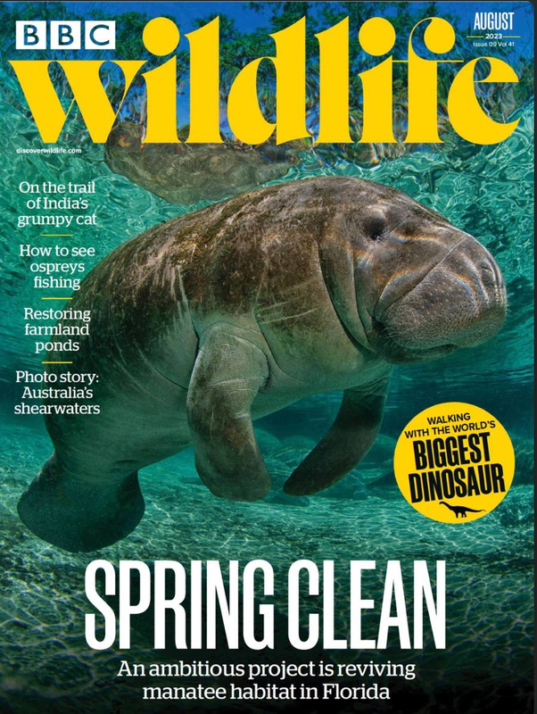 Обложка журнала BBC Wildlife