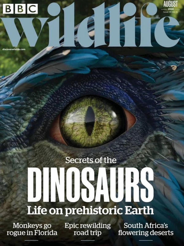 Обложка журнала BBC Wildlife