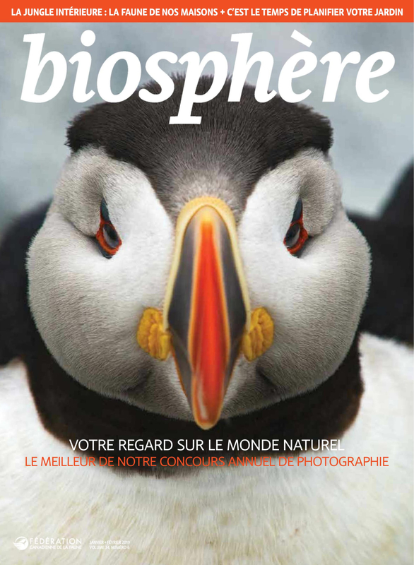 Обложка журнала biosphere
