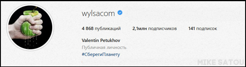 Аватарка в In - wylsacom