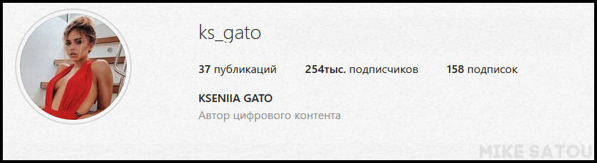 Аватарка в In - ksgato